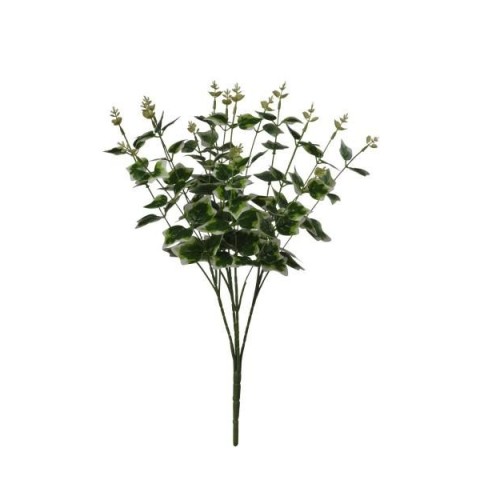 MAZZO EDERA VARIEGATED 50CM